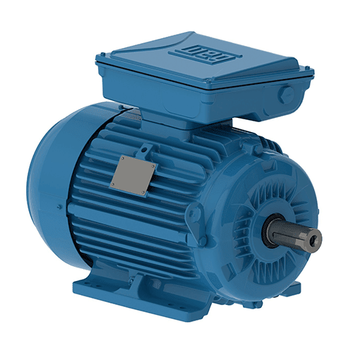 Products & Services GEM Electric Motors